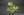 Céramique de Beauce - Grenouille 24 Vert chartreuse grenouille